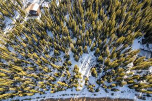 DJI_0787
