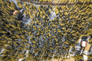 DJI_0809