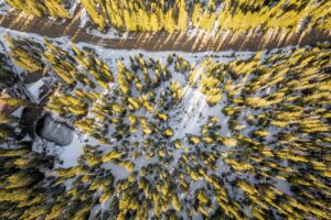 DJI_0812