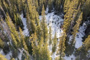 DJI_0821