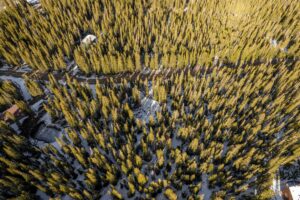 DJI_0842